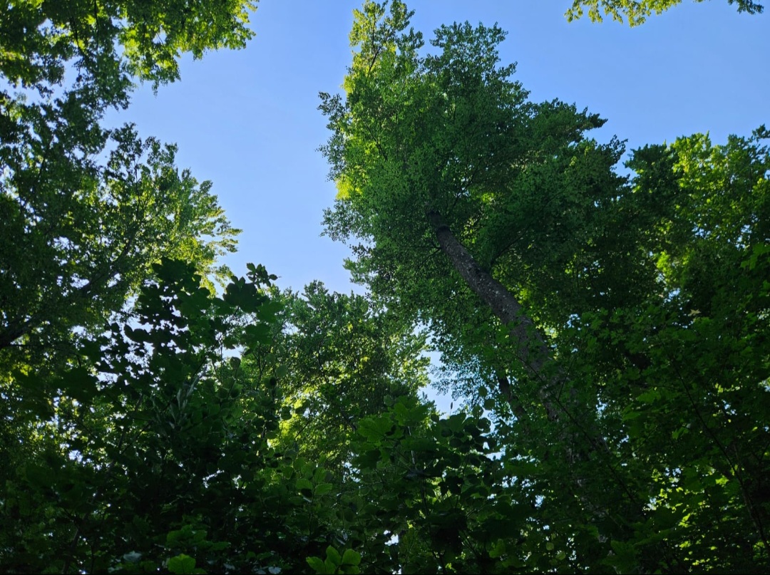 Herzlich Willkommen!